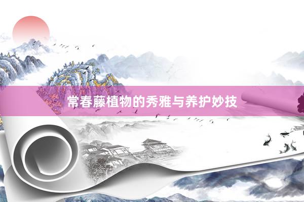 常春藤植物的秀雅与养护妙技