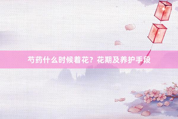 芍药什么时候着花？花期及养护手段