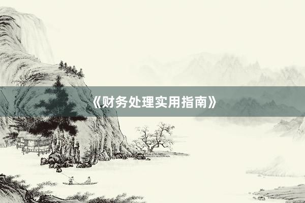 《财务处理实用指南》